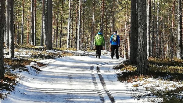 Kohtaamisia luonnossa - Alueelliset koulutukset Joutsassa, Keuruulla, Laukaassa ja Petäjävedellä syksyllä 2021